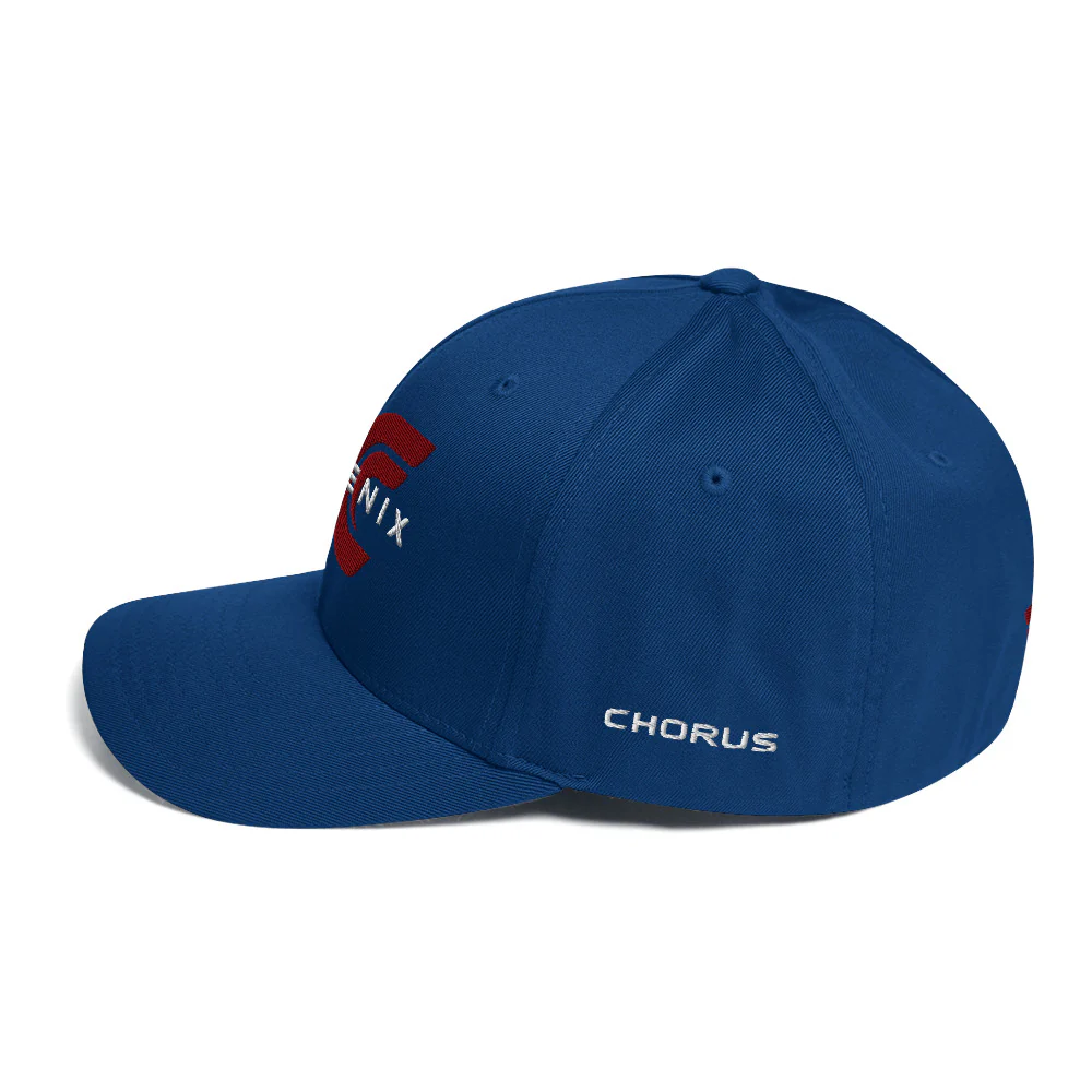 Phoenix Logo Flexfit Hat - Image 18