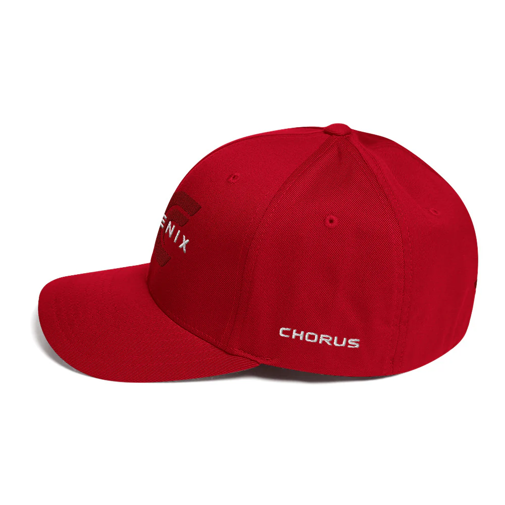Phoenix Logo Flexfit Hat - Image 22