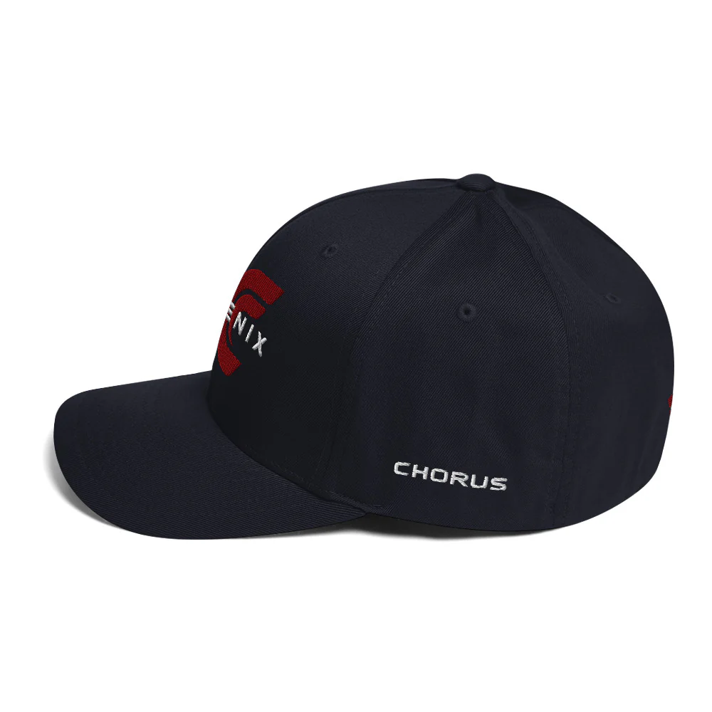 Phoenix Logo Flexfit Hat - Image 6